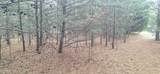  Raintree Lane - Photo 4