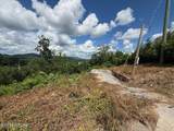 201 Cherry Laurel Drive - Photo 4