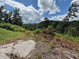201 Cherry Laurel Drive - Photo 5