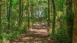 283 County Road 334 - Photo 47