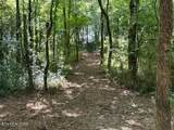 283 County Road 334 - Photo 52