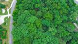 Lot 216 Reuben Ridge Rd - Photo 7