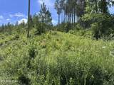 Lot 35 Winding Tr - Photo 11