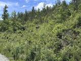 Lot 35 Winding Tr - Photo 12
