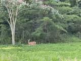 Lot 35 Winding Tr - Photo 2