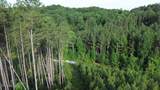 Lot 35 Winding Tr - Photo 4