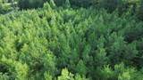 Lot 35 Winding Tr - Photo 8