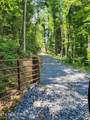 000 Tiger Lilly Drive - Photo 1