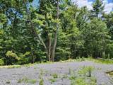000 Tiger Lilly Drive - Photo 11