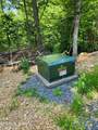 000 Tiger Lilly Drive - Photo 2