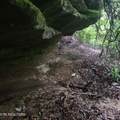 186 Crockett Cemetery Rd - Photo 11