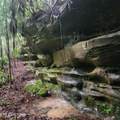 186 Crockett Cemetery Rd - Photo 12