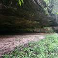 186 Crockett Cemetery Rd - Photo 13