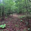 186 Crockett Cemetery Rd - Photo 14
