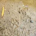 186 Crockett Cemetery Rd - Photo 18
