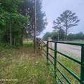 186 Crockett Cemetery Rd - Photo 3