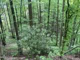Lot 3 Old Cartertown Rd - Photo 2