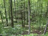 Lot 3 Old Cartertown Rd - Photo 3