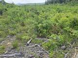  Owl Ridge Way - Photo 4