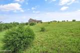 Lot 32 Melea Lane - Photo 16