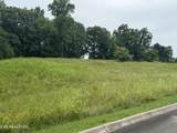  Lot 50 Melea Lane - Photo 5