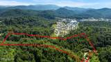 1424 Clabo Hollow Rd - Photo 34