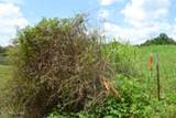 Lot 10 Rose Hill Ed Rd - Photo 32
