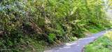 Lot 0005 Sugar Maple Loop Rd - Photo 29