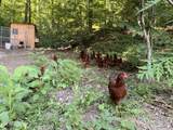 4194 Little Sycamore Rd - Photo 3