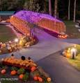 225 Collier Drive - Photo 31
