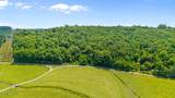 1913 Dry Fork Valley Rd - Photo 10