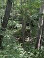 0 Wilder Hwy - Photo 14
