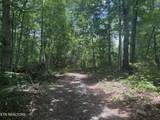 0 Wilder Hwy - Photo 3
