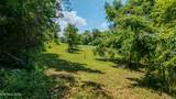 0 Central Avenue Pike - Photo 5