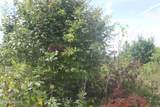 2058 Pickett Park Hwy - Photo 2