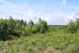 2058 Pickett Park Hwy - Photo 5