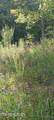 1133 Wheeler Rd - Photo 24