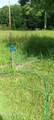 1133 Wheeler Rd - Photo 29