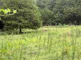  County Rd 42 - Photo 7