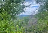  Lot 4 River Birch Way - Photo 1