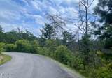  Lot 4 River Birch Way - Photo 2