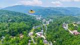 260 Roaring Fork Rd - Photo 28