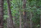 1508 Thomas Springs Rd - Photo 14