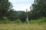 1508 Thomas Springs Rd - Photo 2