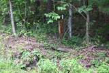 1508 Thomas Springs Rd - Photo 21