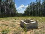 1508 Thomas Springs Rd - Photo 31