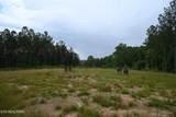 1508 Thomas Springs Rd - Photo 7