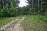 1508 Thomas Springs Rd - Photo 9