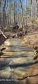 700 Acres Puncheon Creek Lane - Photo 10