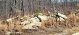 700 Acres Puncheon Creek Lane - Photo 14